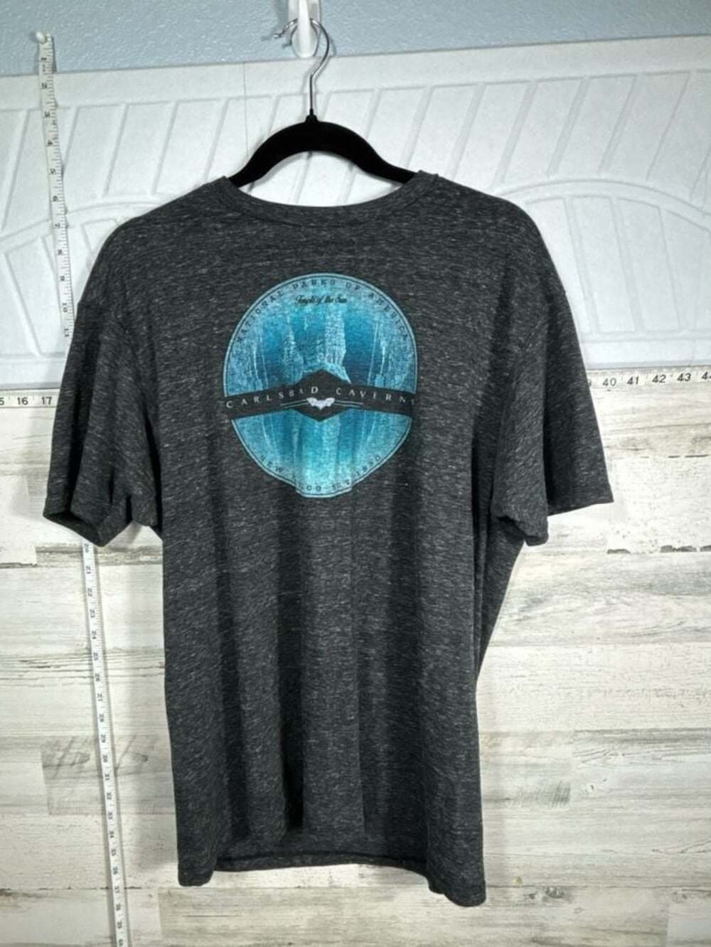 Prairie Mountain Carlsbad Caverns National Park T-Shirt Gray Size L